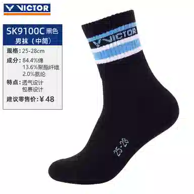 VICTOR logo 1