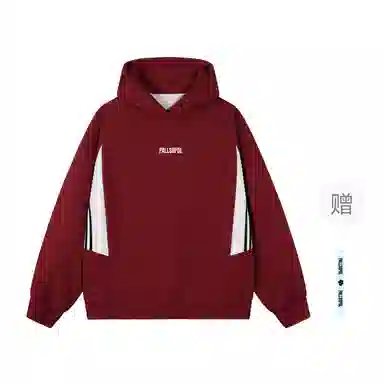 pallsupol