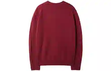 Teenie Weenie Men Bear Embroidered Sweater