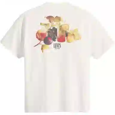 levis T