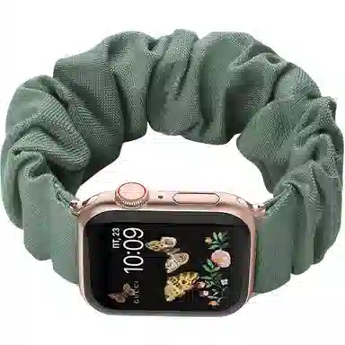 TooGowa applewatchiwatch