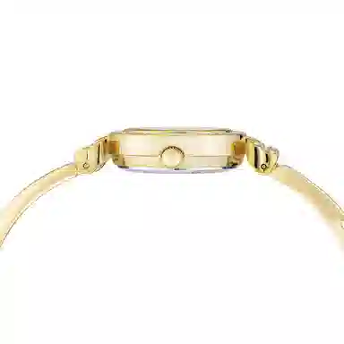 ANNE KLEIN 24mm