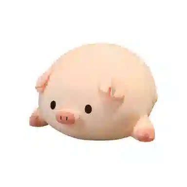 40cm50cm60cm80cm100cm