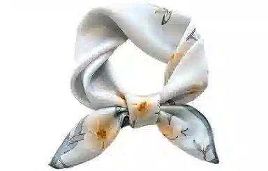 优幽兰 时尚百搭小众高级感温柔气质优雅真丝搭配衬衫小领巾韩版衬衣绑包薄款减龄穿搭 桑蚕丝 丝巾 女款