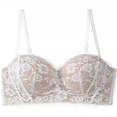 内在密码 蕾丝内衣女半杯聚拢小胸显大无钢圈上托收副乳法式纯欲文胸 女款