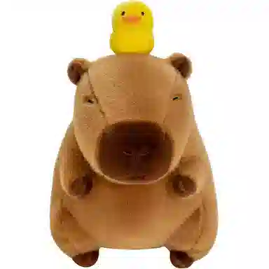 25cm35cm45cm55cm95cm