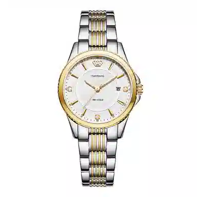 TIANWANG 18klogo 3731