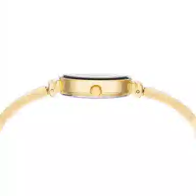 ANNE KLEIN 24mm