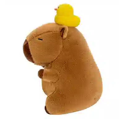 25cm35cm45cm55cm95cm