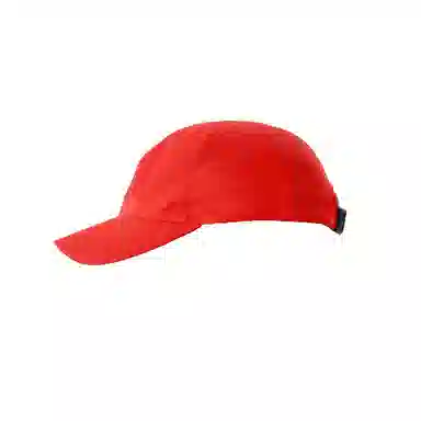 Arcteryx Bird Word Cap