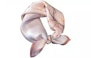 优幽兰 时尚百搭新中式高级感清新淡雅粉色真丝小方巾优雅气质四季通用小领巾护颈小围巾衬衫包包装饰多功能 丝巾 女款