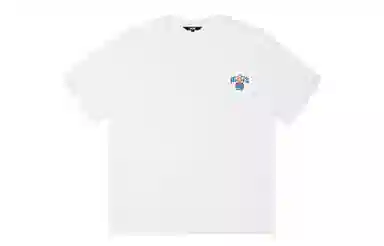 ICONS Lab ICS T