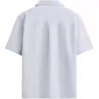 ZARA Origins