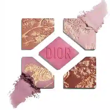 Dior 2025 Summer Limited Eyeshadow