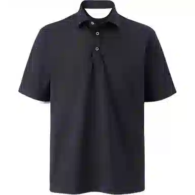 SEE ALSO Polo