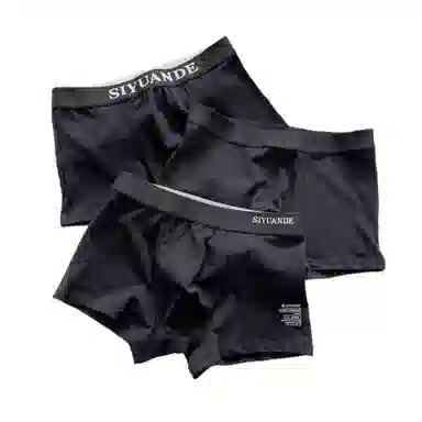 ECONICE Mid-Rise Plus Size Boxer Briefs