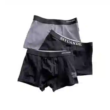 ECONICE Mid-Rise Plus Size Boxer Briefs