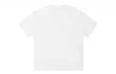 ICONS Lab ICS T