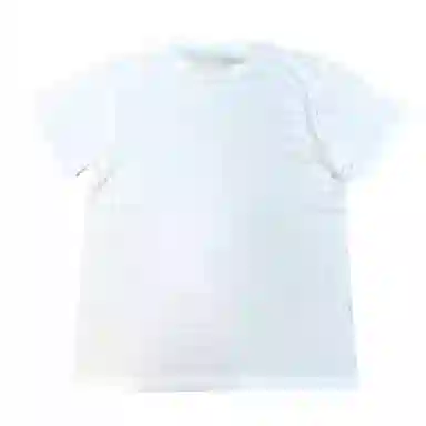 SANTASTIC T