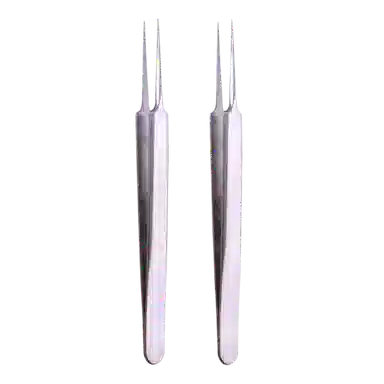 BEAUTIFUL AND CHARMING