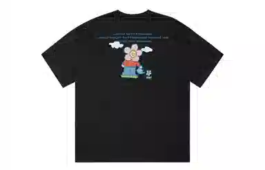 ICONS Lab ICS T