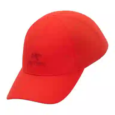 Arcteryx Bird Word Cap