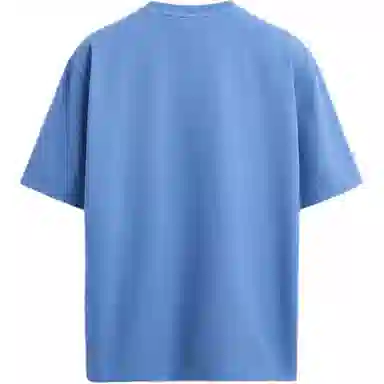 ZARA Origins T