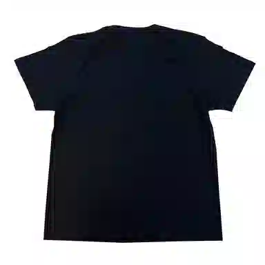 SANTASTIC T