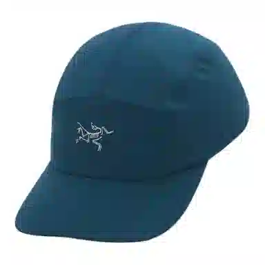 Arcteryx Logo Cap Purple