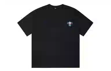 ICONS Lab ICS T