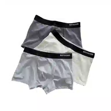 ECONICE Mid-Rise Plus Size Boxer Briefs