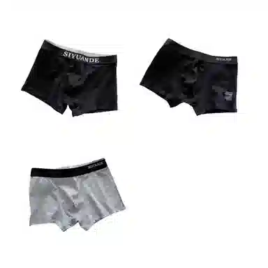 ECONICE Mid-Rise Plus Size Boxer Briefs
