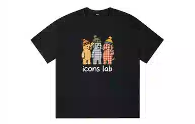ICONS Lab ICS T
