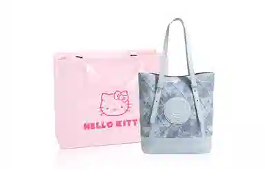 Sanrio PU