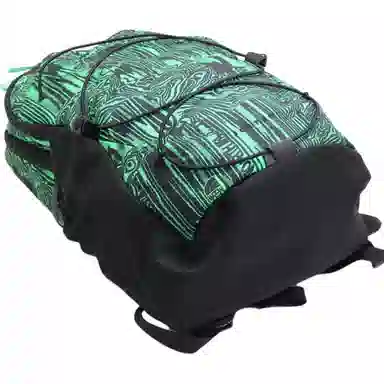 The North Face Jester Green