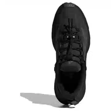 adidas Terrex Free Hiker SL GTX