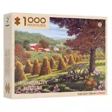 1000pcs DIY1000