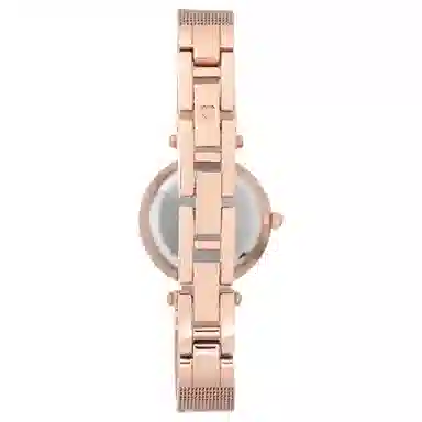 安妮克莱因 腕表 石英机芯 合金不锈钢表带 银色表盘 女表 商务休闲