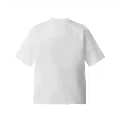 EDRPIUS T