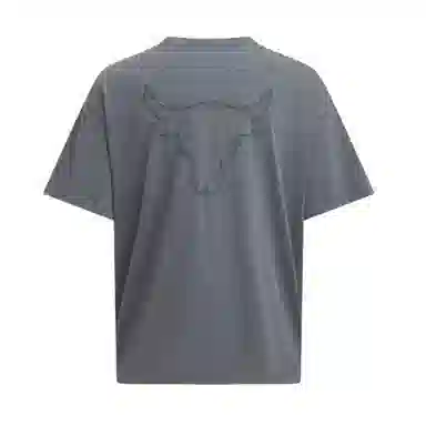 Under Armour Project Rock T