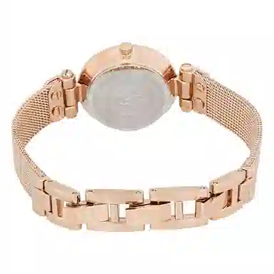 安妮克莱因 腕表 石英机芯 合金不锈钢表带 银色表盘 女表 商务休闲