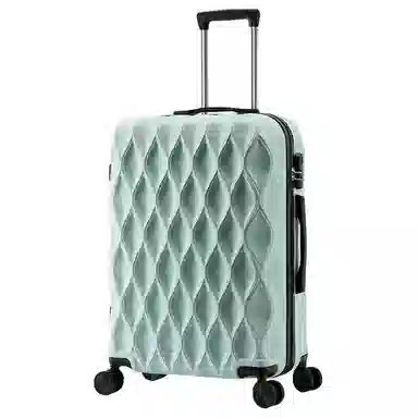 BLAKE FLEETO ABS 2024262228