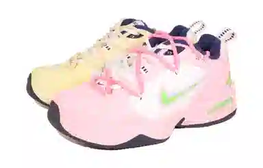 Nike Air Monarch 4