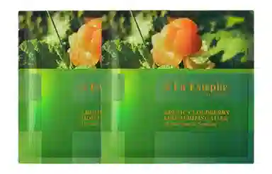 LaEstephe 5