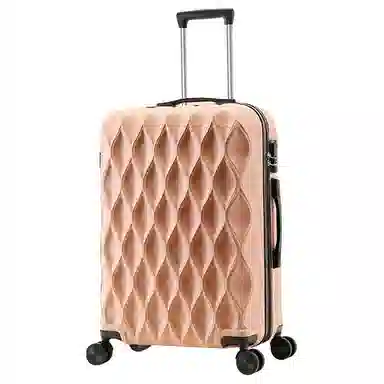 BLAKE FLEETO ABS 2024262228