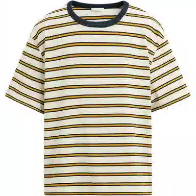 ZARA T