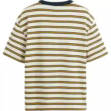 ZARA T