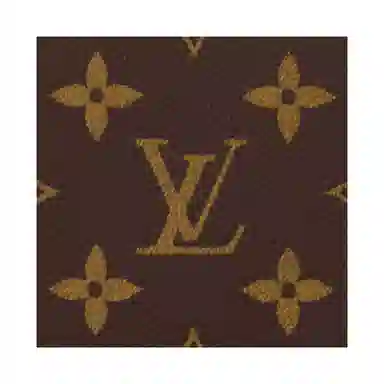 LOUIS VUITTON Multiple