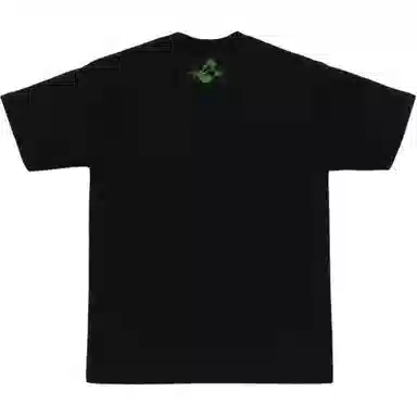 A BATHING APE FW25 FW25 T