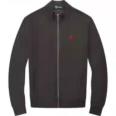 Automobili Lamborghini logo